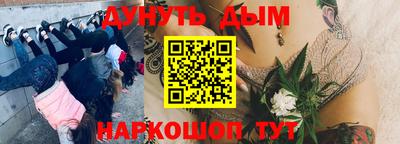 шишки Краснознаменск