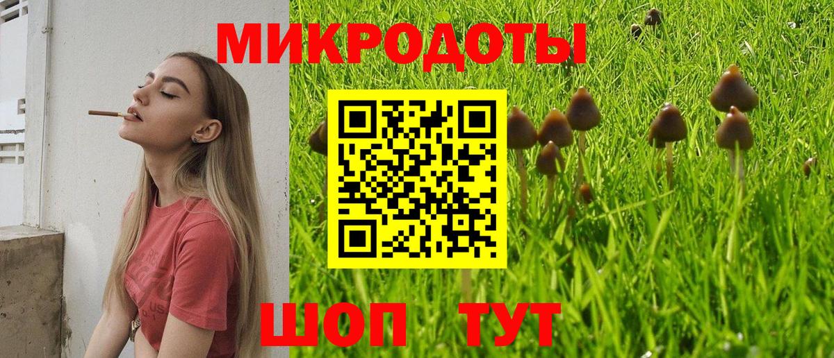 Кизляр  Галлюциногенные грибы MAGIC MUSHROOMS  Вход с VPN 
