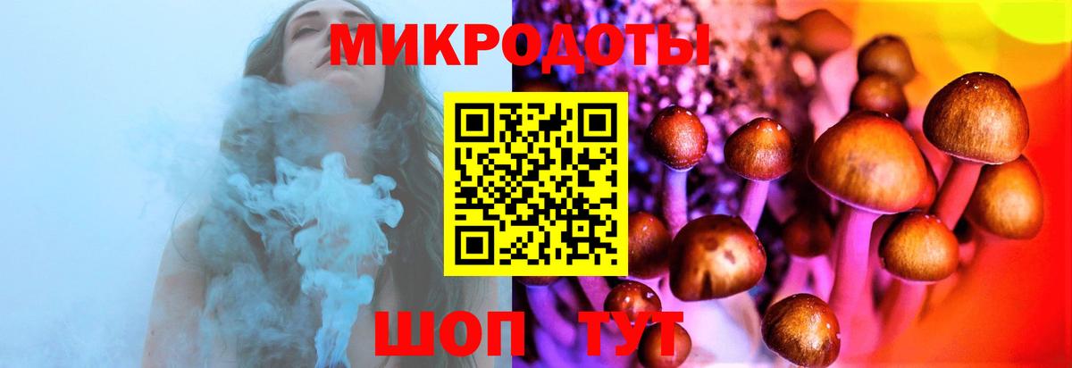 Галлюциногенные грибы Psilocybine cubensis Кизляр