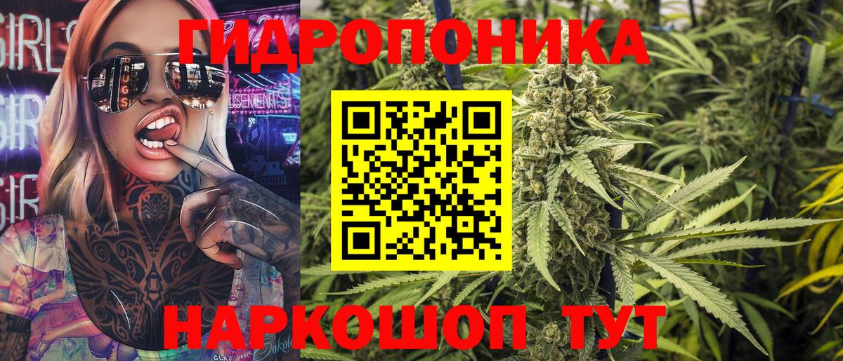 Бошки марихуана конопля  Канабис план  Вход с VPN  Канабис тримм  Марихуана ГИДРОПОН  Кизляр 
